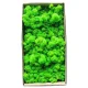 1500g-Simulation-Plants-Eternal-Life-Moss-Garden-Home-Decor-Wall-DIY-Flower-Material-Mini-Garden-Micro.webp